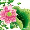品味人生(退出)的头像