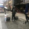 canlandecaihong的头像