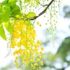 无痕的头像