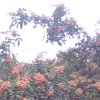 一切随缘的头像