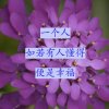 你若安好便是晴天的头像