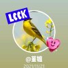 董姐的头像