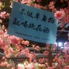 飛飛★此缘份不来，此花不开的头像