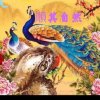 顺其自然的头像