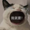 ♪熊公子的头像