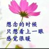 一生快乐的头像
