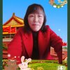 杨姐的头像