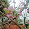 静水流深₅₂₀尊师雪公主¹³¹⁴89(退出全民)的头像