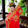 从头再来的头像