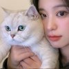 白苏的头像