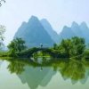 缘的头像