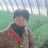 帅哥妈妈的头像