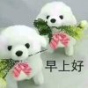 懂你的头像