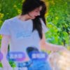 彩云的头像