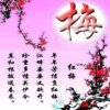 岚馨之声*^_^* 梅開富贵*^_^*的头像