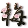 梅（(❁´︶`❁)）的头像