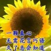 李的头像