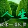人生如梦的头像