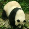 演绎寂寞的头像