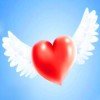 心飞翔的头像