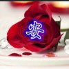 阳光的头像