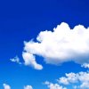 蓝天白云 L T B Y的头像