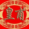 海边的云在飞的头像