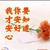 宝丽雨乐新主唱的头像