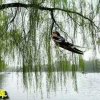永远的 shmilg的头像