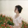 夏珂的头像