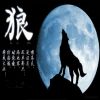 狼刺的头像