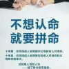 笨笨的头像