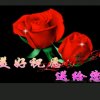 开心玫瑰的头像