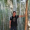 五音不全的头像