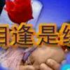 追梦〈偶尔〉的头像