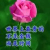 美美的头像