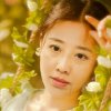 燕莺的头像