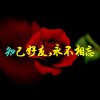 岁岁平安的头像