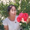 随缘的头像