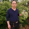 罡哥不玩币的头像