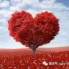 丽姐的头像