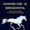 马到成功的头像