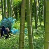 和的头像