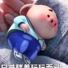 小珍珍的头像