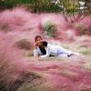 春暖花开的头像