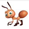月华蚂蚁在呐喊的头像