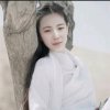 墨.MR尘缘的头像