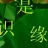 旅途的头像