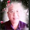天天乐合唱大王的头像