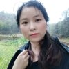 杨小红的头像